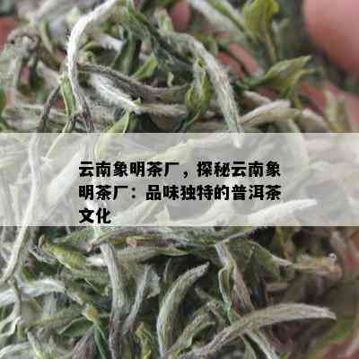 云南象明茶厂，探秘云南象明茶厂：品味独特的普洱茶文化