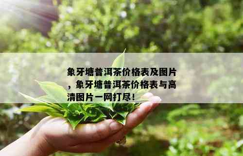 象牙塘普洱茶价格表及图片，象牙塘普洱茶价格表与高清图片一网打尽！