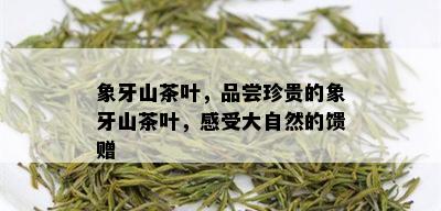 象牙山茶叶，品尝珍贵的象牙山茶叶，感受大自然的馈赠