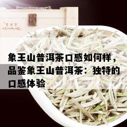 象王山普洱茶口感如何样，品鉴象王山普洱茶：独特的口感体验