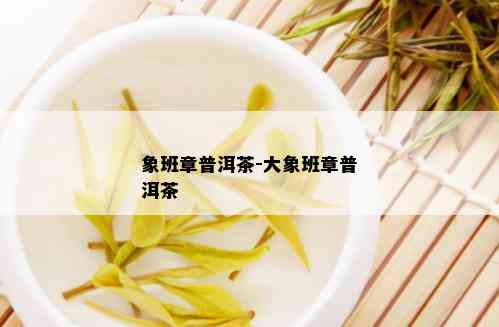 象班章普洱茶-大象班章普洱茶