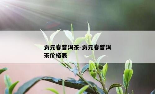 贡元春普洱茶-贡元春普洱茶价格表