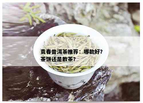 贡春普洱茶推荐：哪款好？茶饼还是散茶？