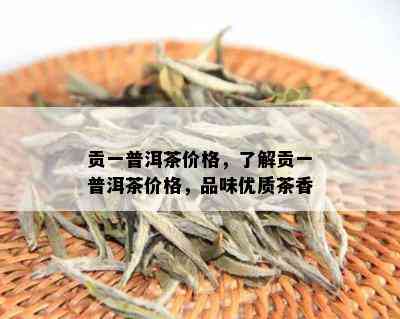 贡一普洱茶价格，了解贡一普洱茶价格，品味优质茶香