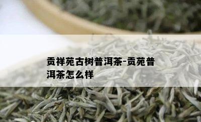 贡祥苑古树普洱茶-贡苑普洱茶怎么样