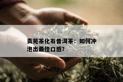 贡苑茶化石普洱茶：如何冲泡出更佳口感？