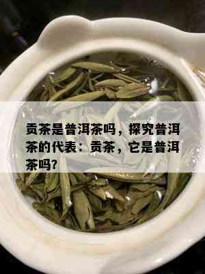 贡茶是普洱茶吗，探究普洱茶的代表：贡茶，它是普洱茶吗？