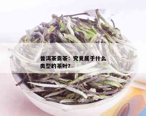 普洱茶贡茶：究竟属于什么类型的茶叶？