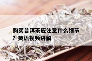 购买普洱茶应注意什么细节？英语视频讲解