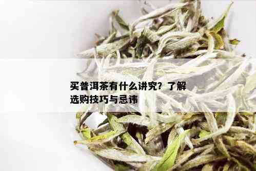 买普洱茶有什么讲究？了解选购技巧与忌讳