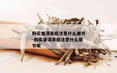 购买普洱茶应注意什么细节-购买普洱茶应注意什么细节呢