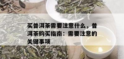 买普洱茶需要注意什么，普洱茶购买指南：需要注意的关键事项