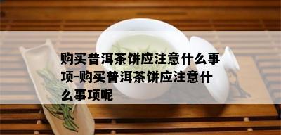 购买普洱茶饼应注意什么事项-购买普洱茶饼应注意什么事项呢