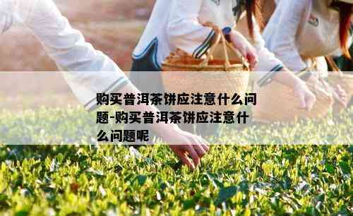 购买普洱茶饼应注意什么问题-购买普洱茶饼应注意什么问题呢