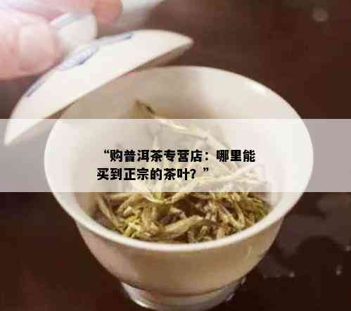 “购普洱茶专营店：哪里能买到正宗的茶叶？”