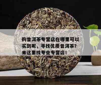 购普洱茶专营店在哪里可以买到呢，寻找优质普洱茶？来这里找专业专营店！