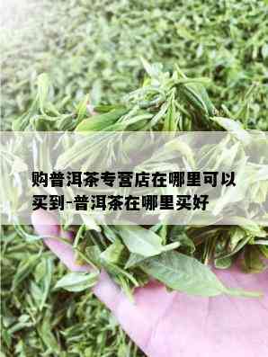 购普洱茶专营店在哪里可以买到-普洱茶在哪里买好