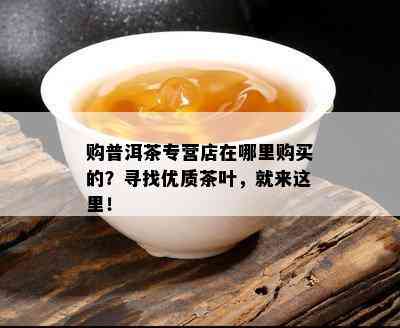 购普洱茶专营店在哪里购买的？寻找优质茶叶，就来这里！