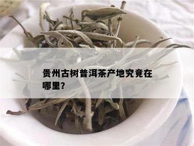 贵州古树普洱茶产地究竟在哪里？