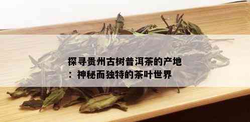 探寻贵州古树普洱茶的产地：神秘而独特的茶叶世界