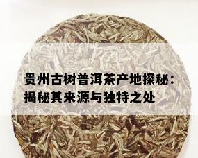 贵州古树普洱茶产地探秘：揭秘其来源与独特之处