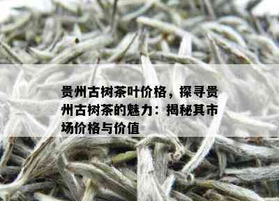 贵州古树茶叶价格，探寻贵州古树茶的魅力：揭秘其市场价格与价值