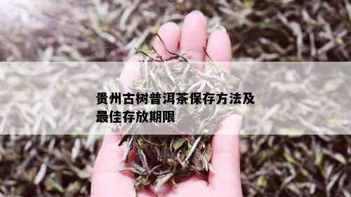 贵州古树普洱茶保存方法及更佳存放期限