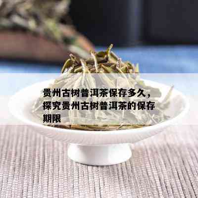 贵州古树普洱茶保存多久，探究贵州古树普洱茶的保存期限