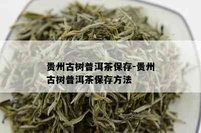 贵州古树普洱茶保存-贵州古树普洱茶保存方法