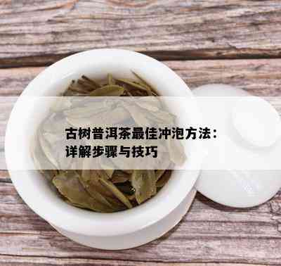 古树普洱茶更佳冲泡方法：详解步骤与技巧