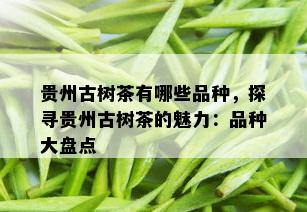 贵州古树茶有哪些品种，探寻贵州古树茶的魅力：品种大盘点