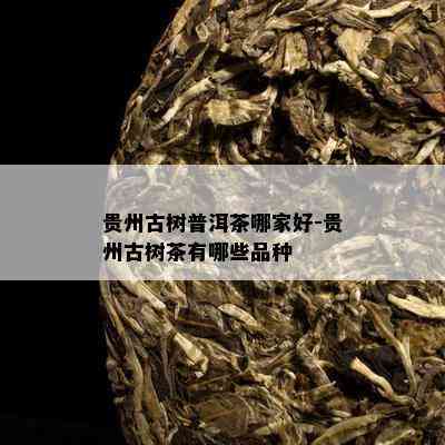 贵州古树普洱茶哪家好-贵州古树茶有哪些品种