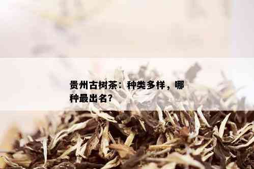 贵州古树茶：种类多样，哪种最出名？