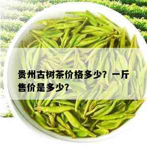 贵州古树茶价格多少？一斤售价是多少？