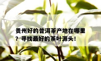 贵州好的普洱茶产地在哪里？寻找更好的茶叶源头！