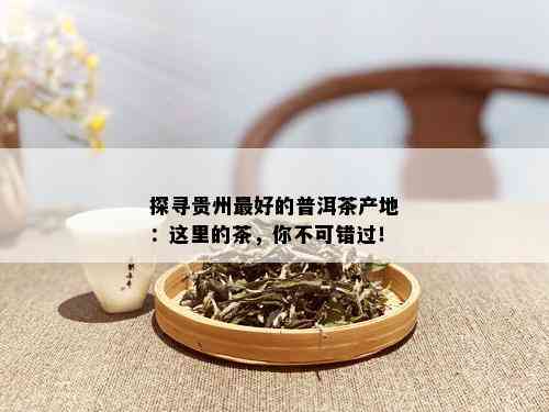 探寻贵州更好的普洱茶产地：这里的茶，你不可错过！