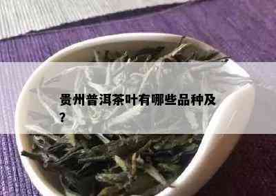 贵州普洱茶叶有哪些品种及？