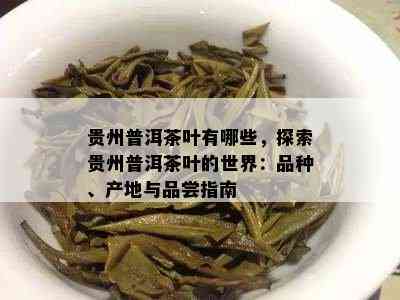 贵州普洱茶叶有哪些，探索贵州普洱茶叶的世界：品种、产地与品尝指南