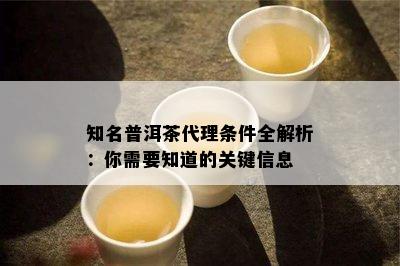 知名普洱茶代理条件全解析：你需要知道的关键信息