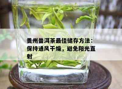 贵州普洱茶更佳储存方法：保持通风干燥，避免阳光直射