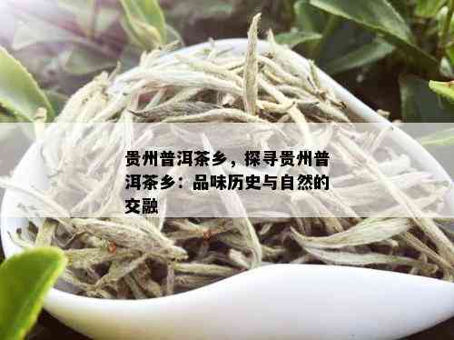 贵州普洱茶乡，探寻贵州普洱茶乡：品味历史与自然的交融