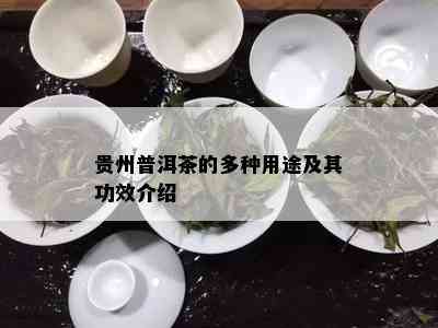 贵州普洱茶的多种用途及其功效介绍