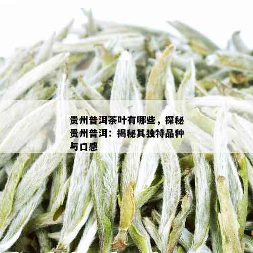 贵州普洱茶叶有哪些，探秘贵州普洱：揭秘其独特品种与口感