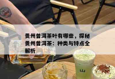 贵州普洱茶叶有哪些，探秘贵州普洱茶：种类与特点全解析