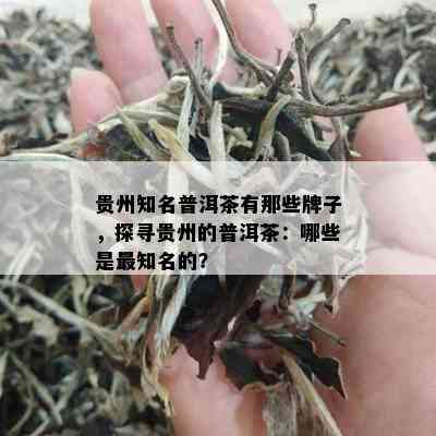 贵州知名普洱茶有那些牌子，探寻贵州的普洱茶：哪些是最知名的？