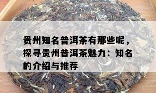 贵州知名普洱茶有那些呢，探寻贵州普洱茶魅力：知名的介绍与推荐