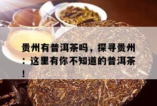 贵州有普洱茶吗，探寻贵州：这里有你不知道的普洱茶！