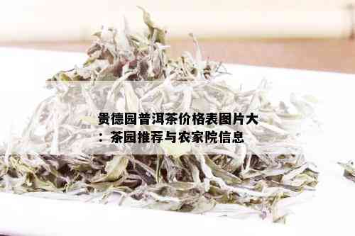 贵德园普洱茶价格表图片大：茶园推荐与农家院信息