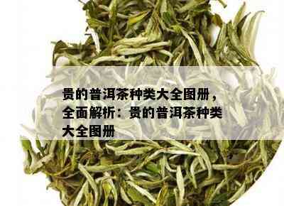 贵的普洱茶种类大全图册，全面解析：贵的普洱茶种类大全图册