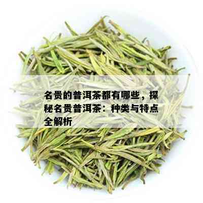 名贵的普洱茶都有哪些，探秘名贵普洱茶：种类与特点全解析